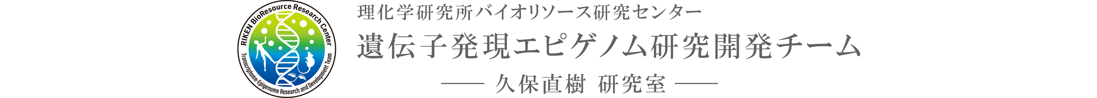 遺伝子発現エピゲノム研究開発チーム